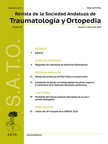 Portada del número 35, volumen 2 de 2018